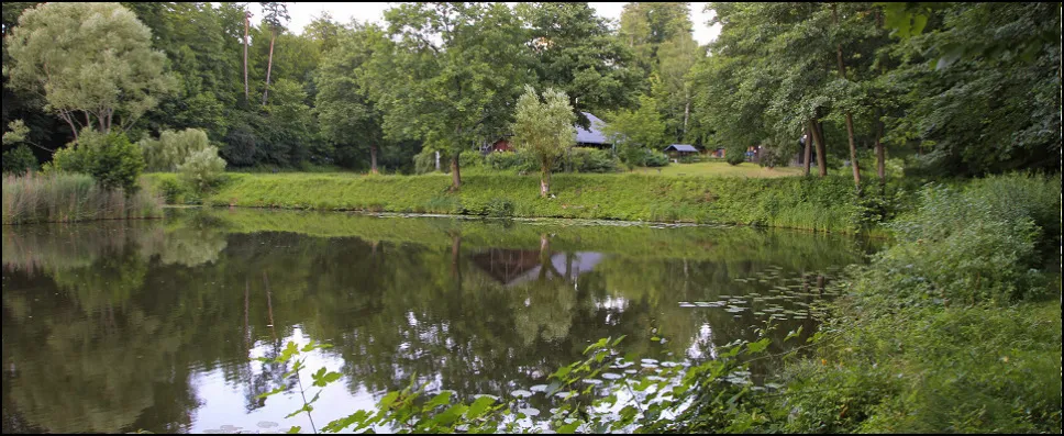 Waldteich an der Fischerhütte