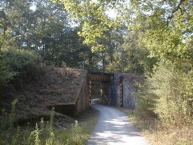 Der Darmbach