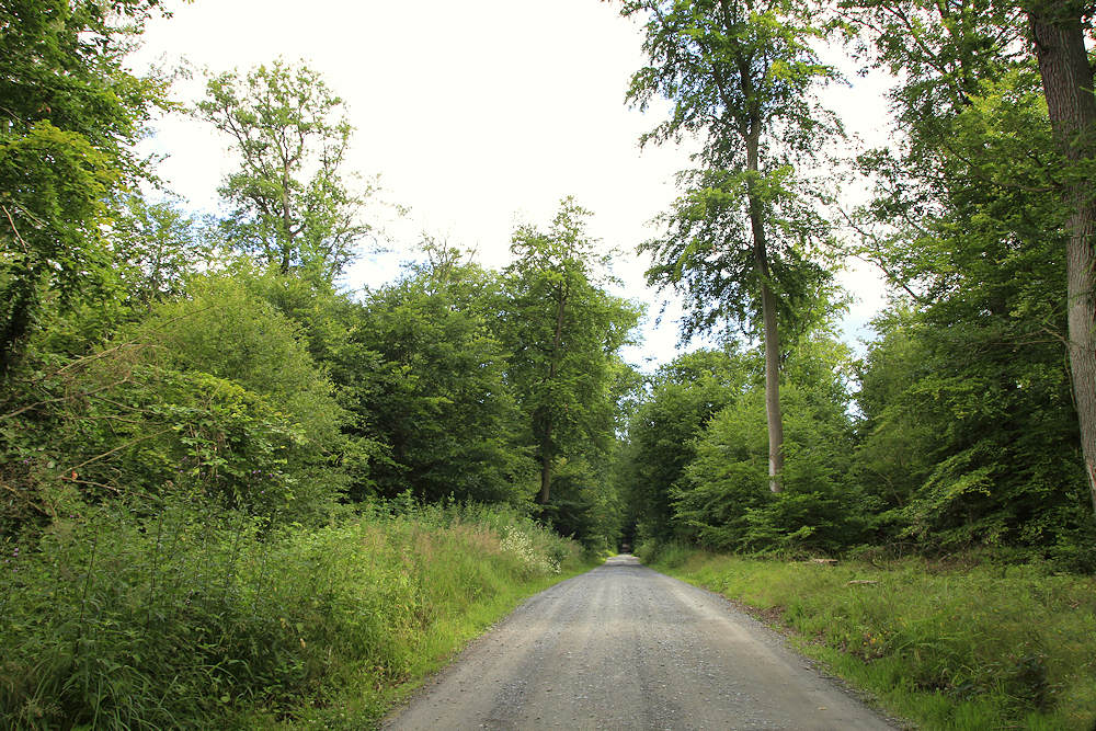 Anfahrt zur Fischerhütte