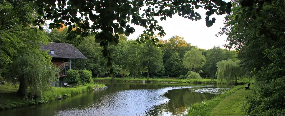 Blick über die Fischteiche