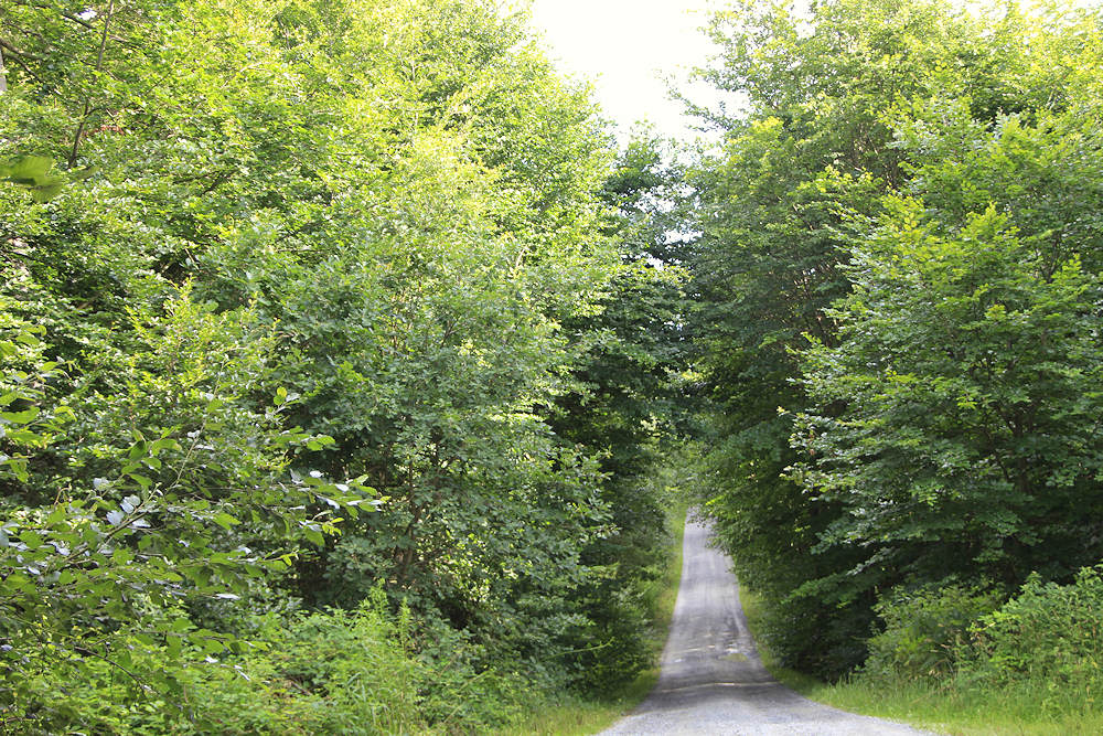 Anfahrt zur Fischerhütte