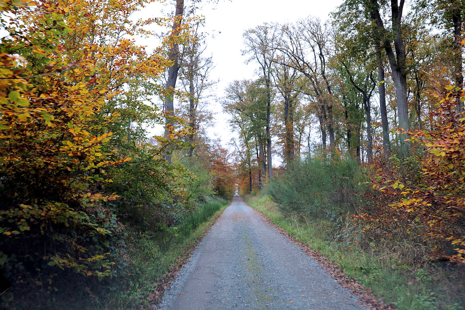 Anfahrt zur Fischerhütte